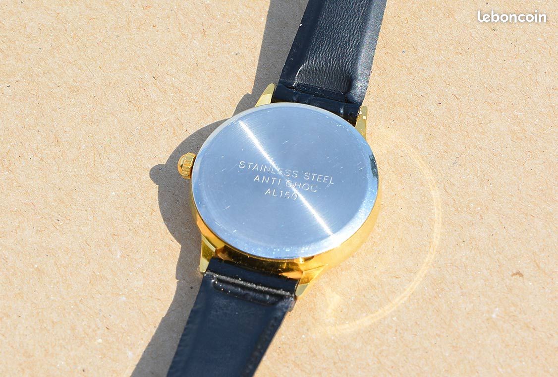Montre Erlanger 17 Rubis Antichoc (image 2)