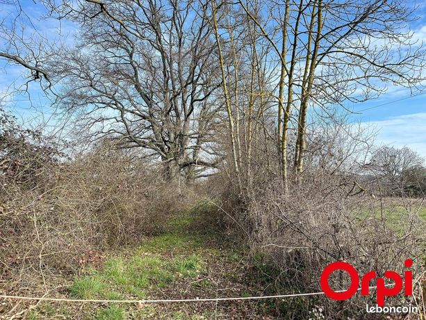 Terrain agricole 2 061 m² Lavault Saint Anne