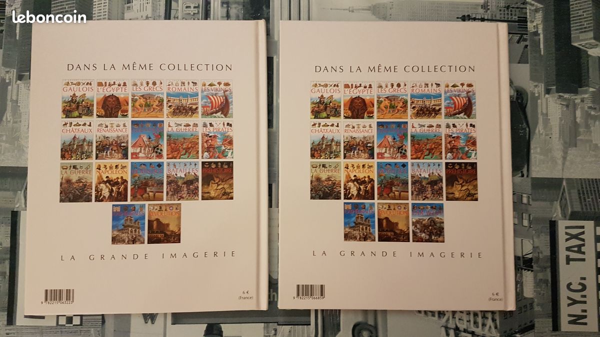 6 livres Grande Imagerie/Encyclo/C'est pas sorcier/Découverte (Pirates, Vikings, Châteaux Forts...) (image 6)