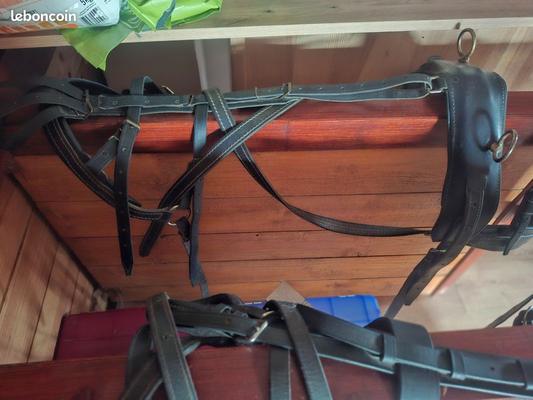 Quincaillerie laiton pour selle harnais de poney - Occasion - 918242