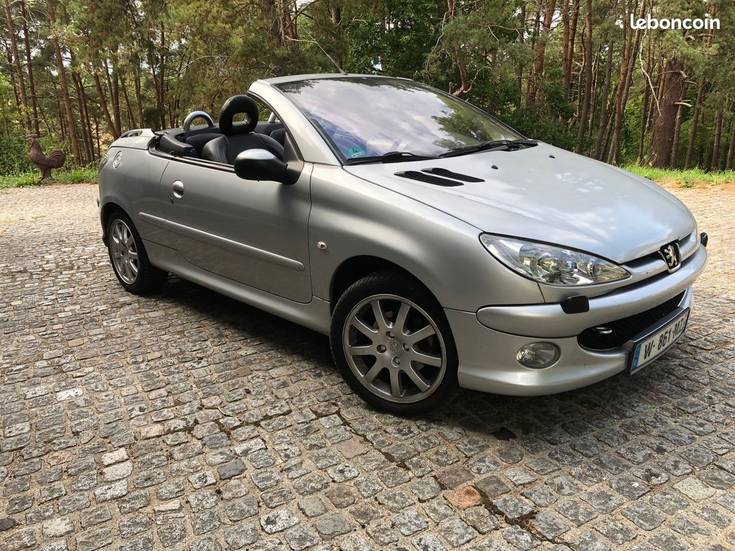 206 1,6 cc platinium (image 1)