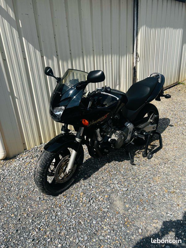 600 Hornet (image 1)