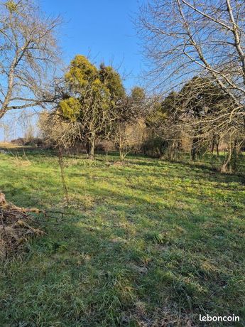 Terrain 1 303 m² Rozay En Brie