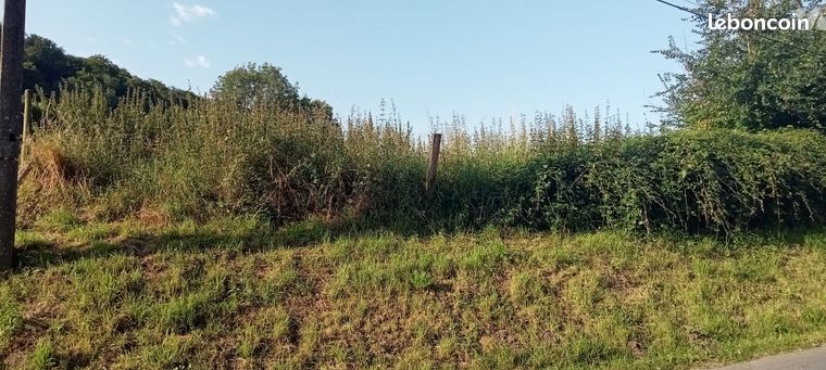Terrain 1659 m² BARISIS AUX BOIS