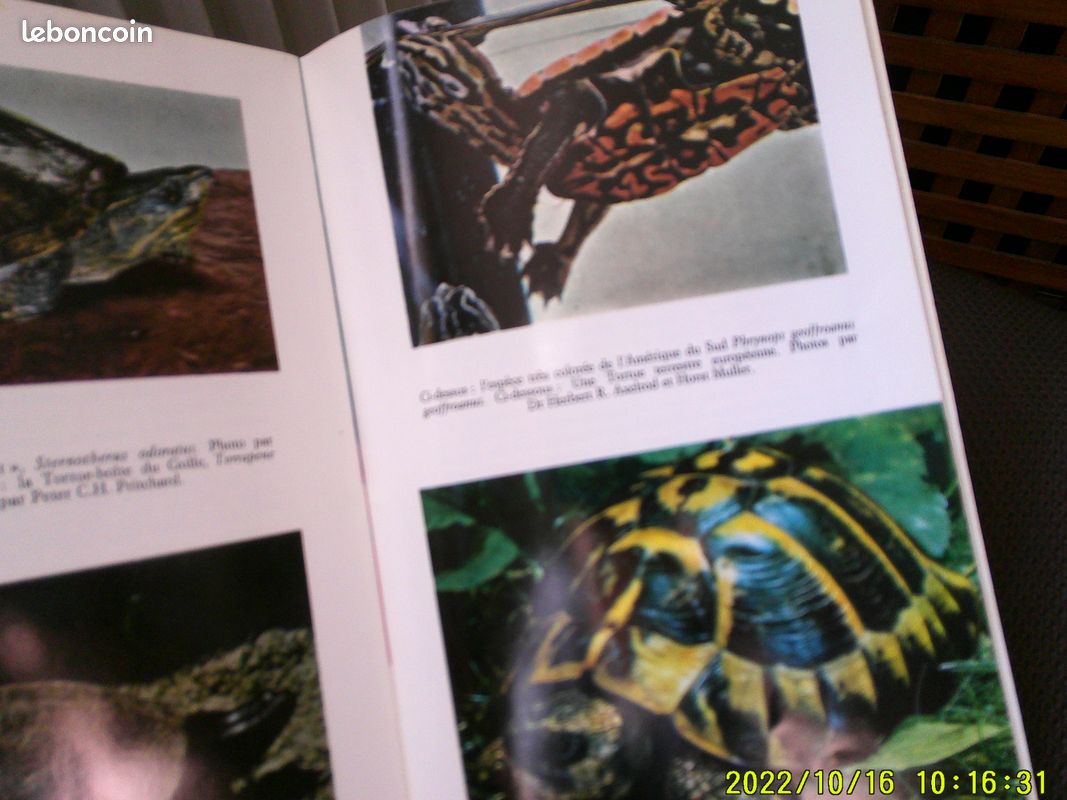 Livre tortues (image 2)