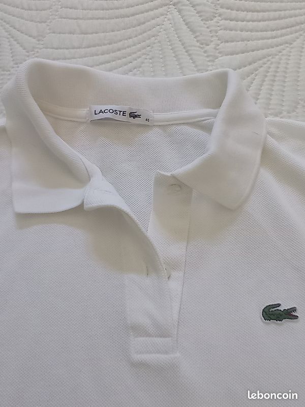 Polo (image 2)