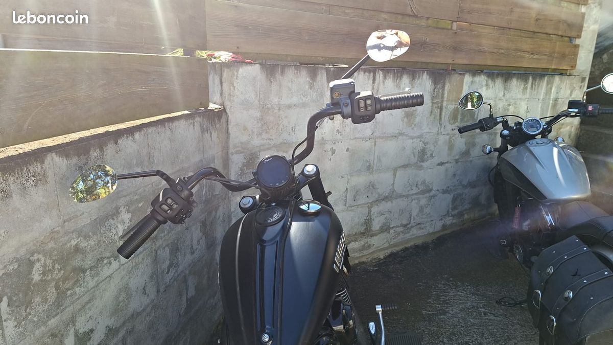 Indian chief dark horse (image 3)