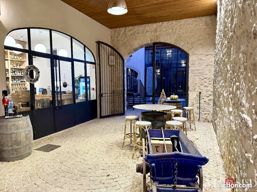 Maison 19 pièces 1180 m² (image 9)