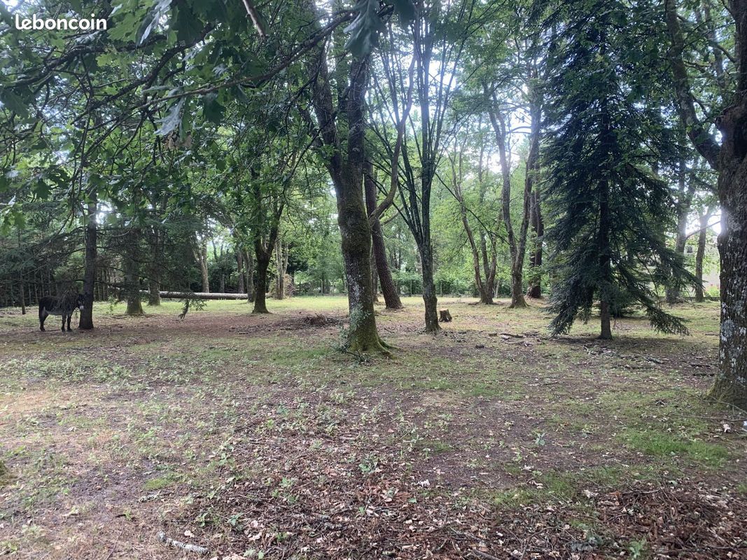 Terrain à bâtir de 1300 m² à LA BREDE (33) · à La Brède · 220 000 €