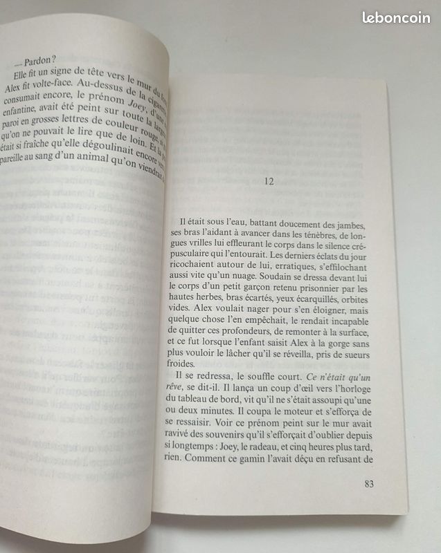 Noyade de J.P. Smith (image 5)