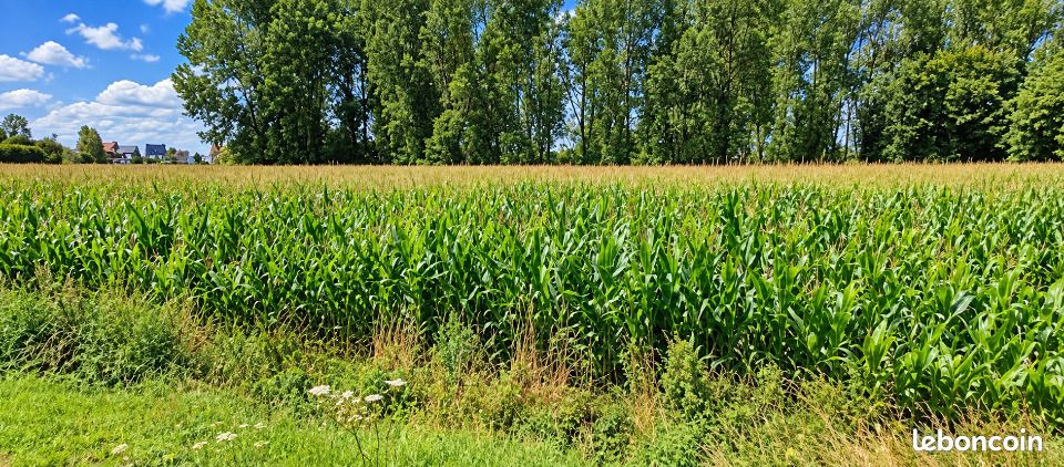 Terrain 590 m² Douai · 50 000 €