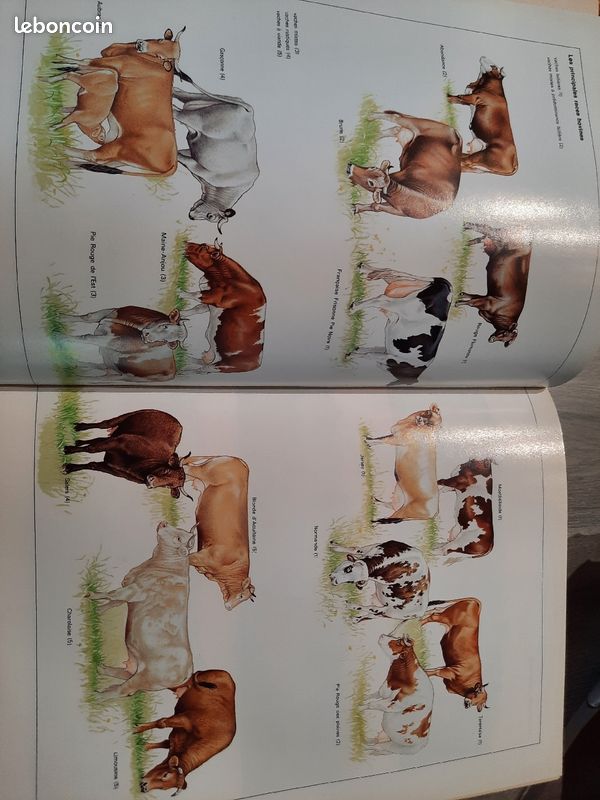 Livre agricole (image 2)