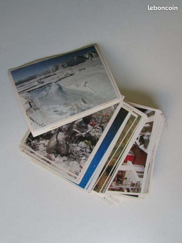Images Poulain (image 1)
