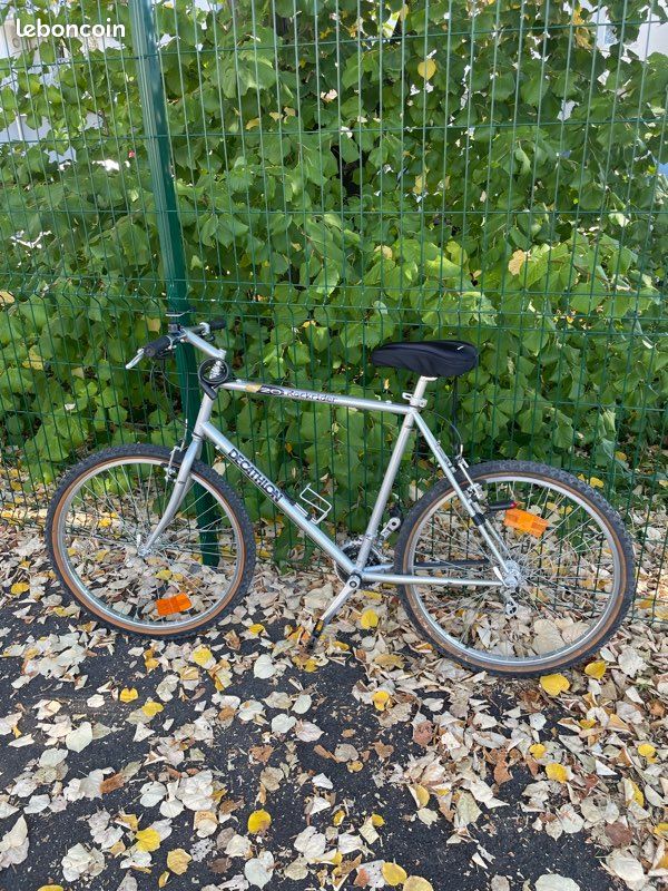 Vélo VTT (image 4)