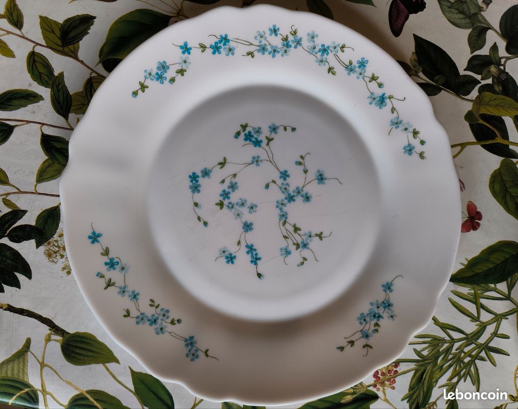 Arcopal Myosotis Violettes Lot De 2 Plats À Four