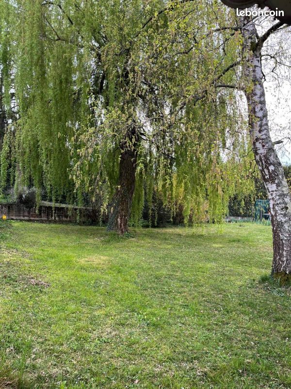 Terrain 551 m² · à Saint-Maurice-de-Beynost · 551 m² · 137 000 €