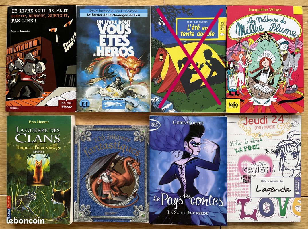 Livres pour ados (image 7)