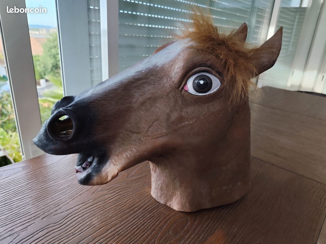 Moules Hobby Tête De Cheval En Plastique - Grand étalon Western Vintage - Occasion