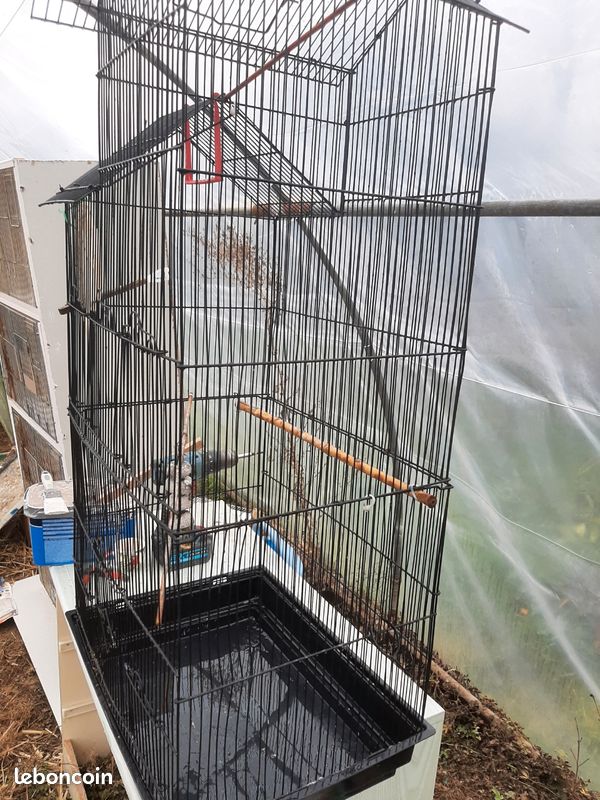 Belle cage à oiseaux 1 mètre de haut (image 2)