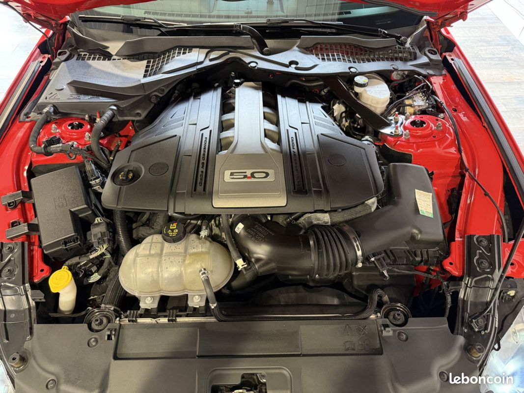 Ford Mustang GT 5.0 450 ch BVA Suivi FORD + Malus payé (image 14)