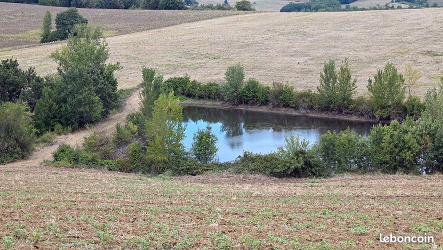 Recherche lac étang graviere lac agricole lac d'irrigation · à Buzet-sur-Tarn · 35 000 €
