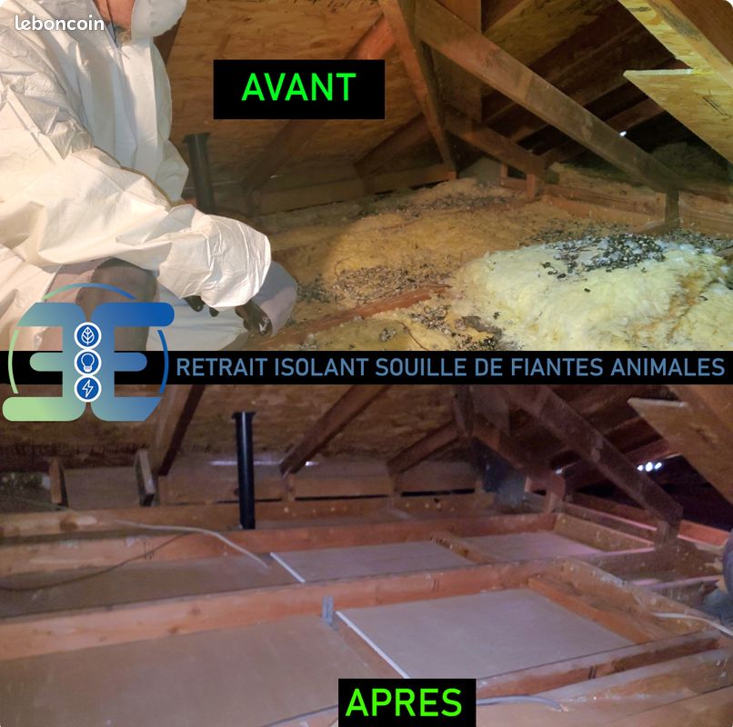 Isolation des combles, Ouate de cellulose; laine de verre; laine de bois; retrait ancien isolant souillés (image 4)