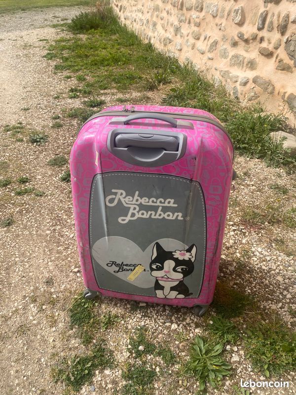 Valise gros format (image 3)