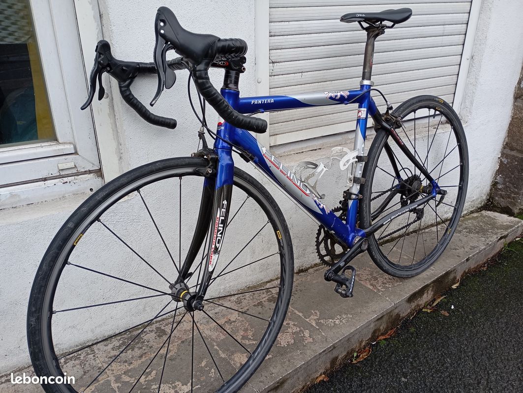 Cycliste Magasin Velo Route De Vannes Etude Posturale Vélo