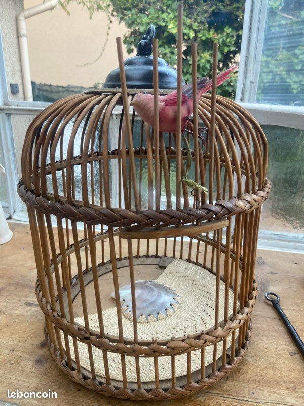 Cage oiseaux bois (image 1)