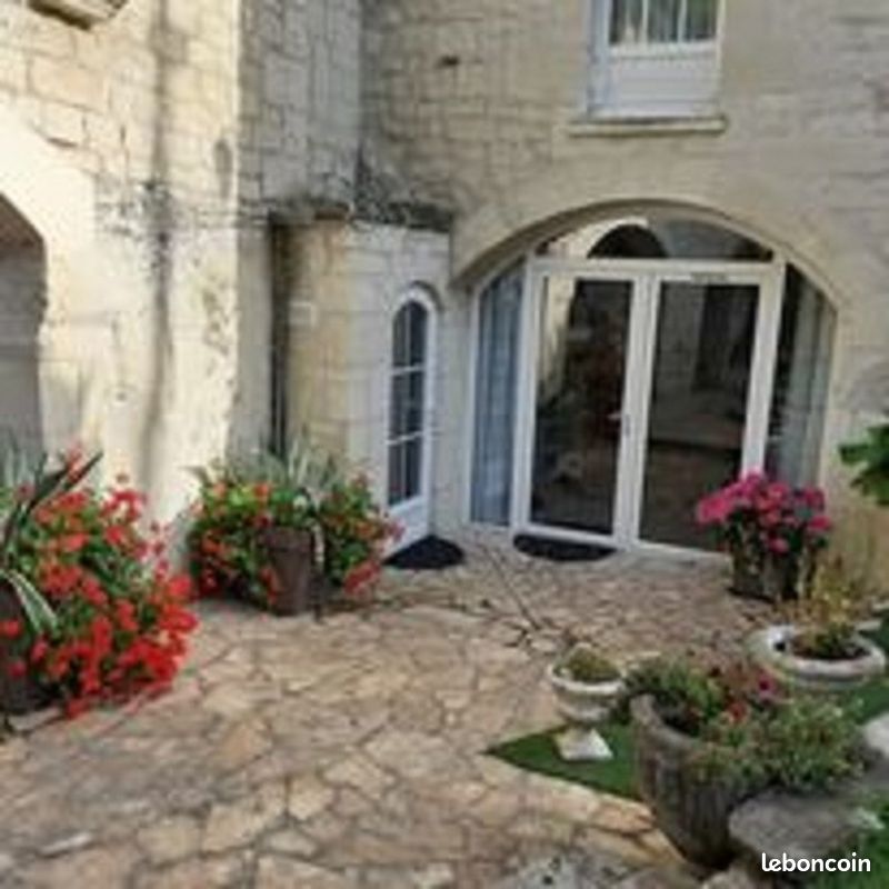 Location gîte proximité de Chinon et de la confluence Loire et Vienne (image 2)