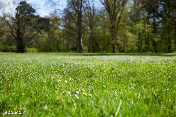 Terrain 490 m² Bailleul