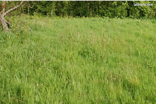 Terrain Fécamp · 56 000 €