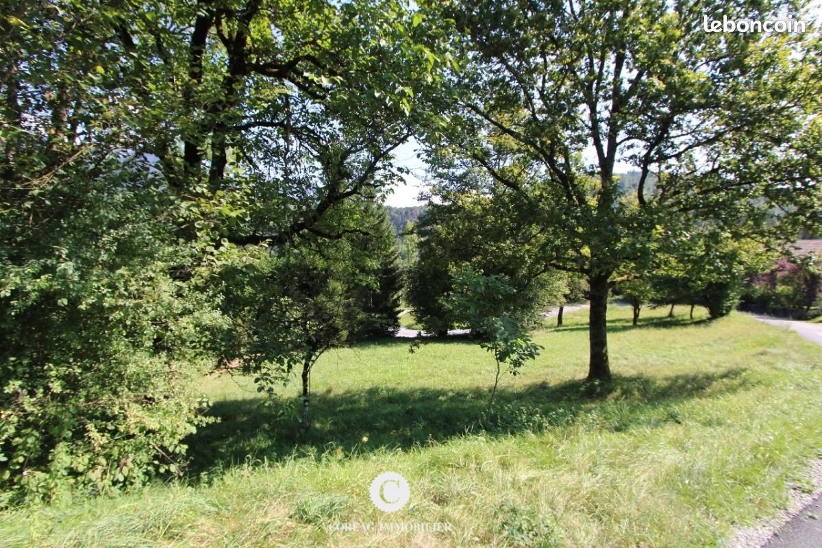 Terrain 628 m² · à Onnion · 88 000 €