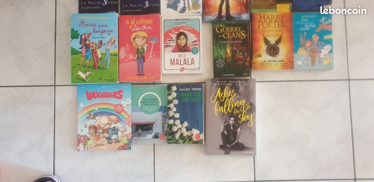 Lot de 22 livres - Romans BD Jeunesses (image 1)