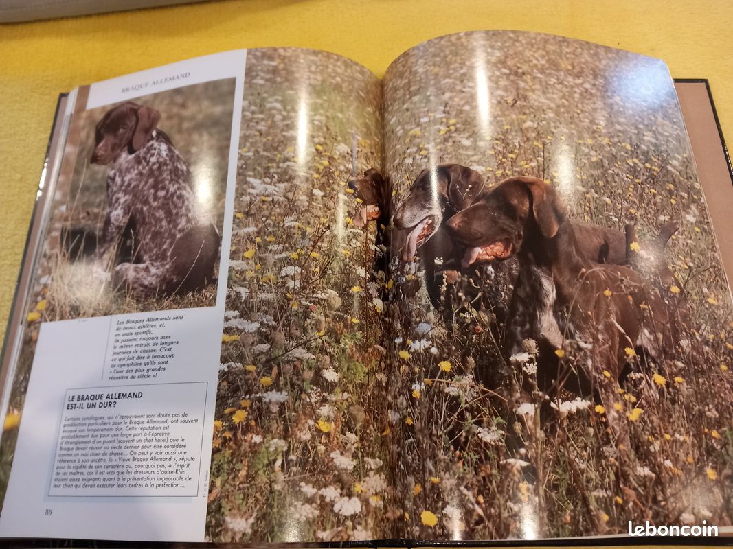 Mon compagnon le chien (image 2)