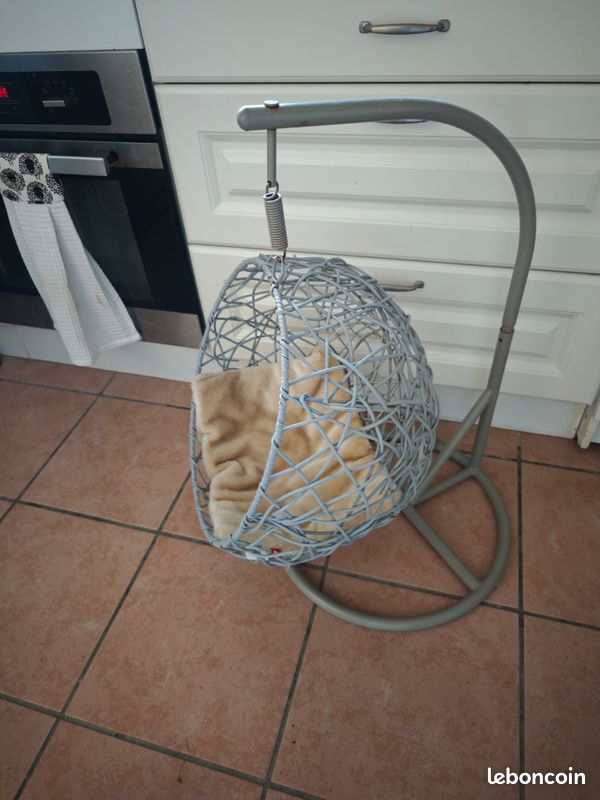 Articles pour chat (image 3)