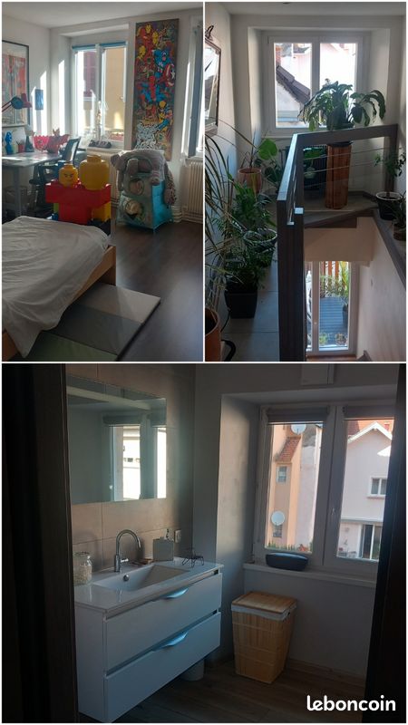 Grand duplex atypique (image 3)