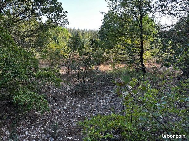 Terrain 1 555 m² Lauraguel