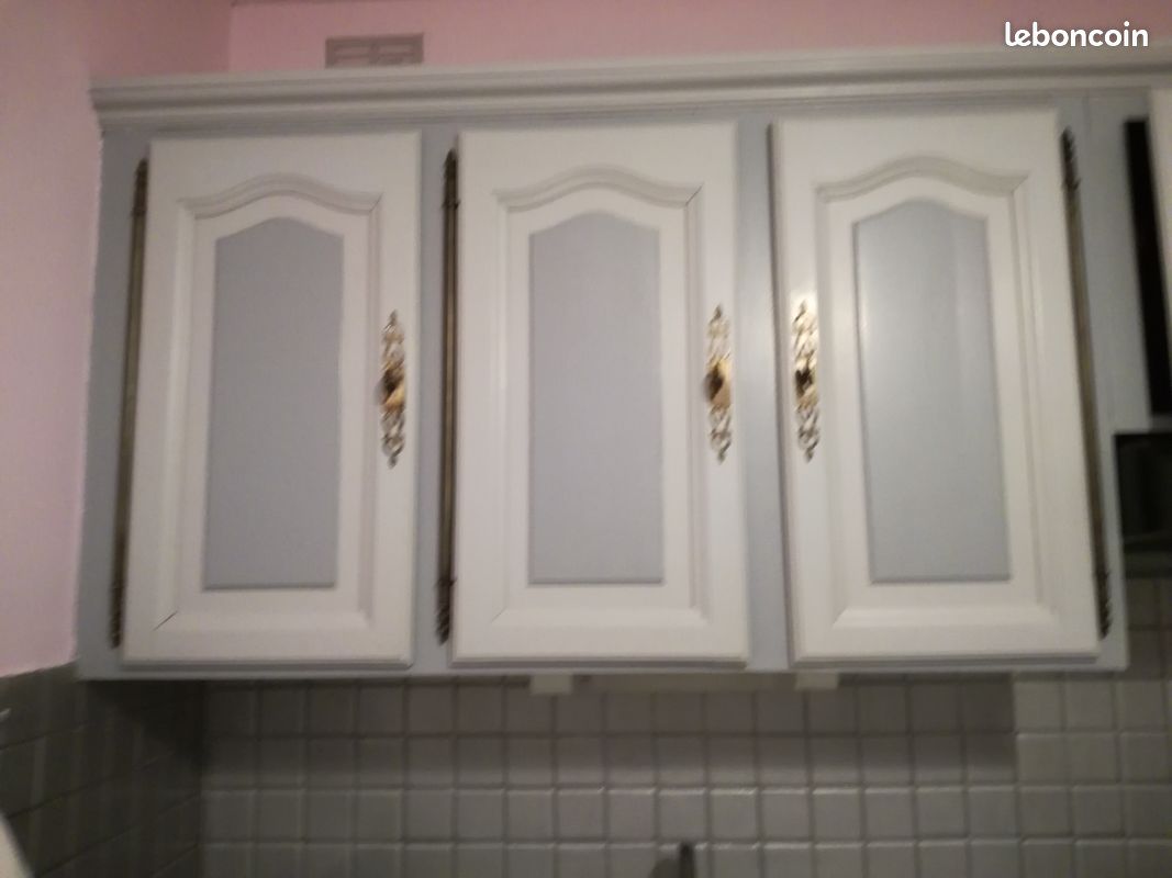 Portes de cuisine en chêne peintes (image 1)