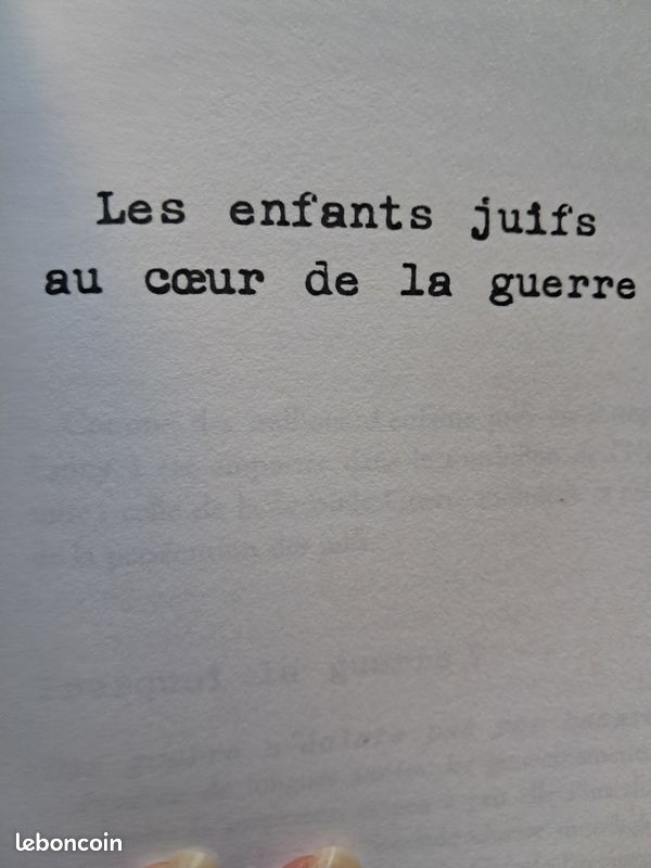 Le voyage de Fanny. Fanny Ben-Ami (image 6)
