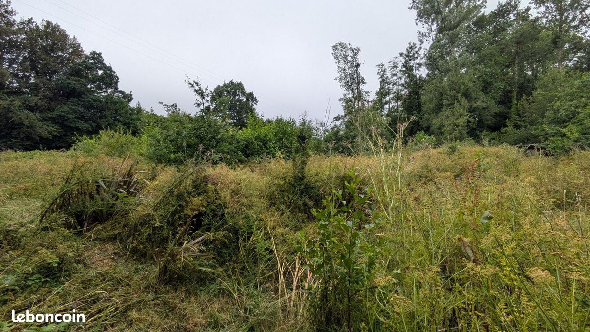 5760 m² Sottevast (image 2)