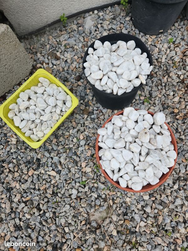 Galets blancs décoratifs 30/50 marbre Jardin Plantes