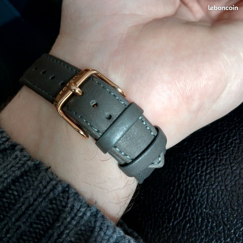 Montre zelus rubis suisse révision ok (image 2)