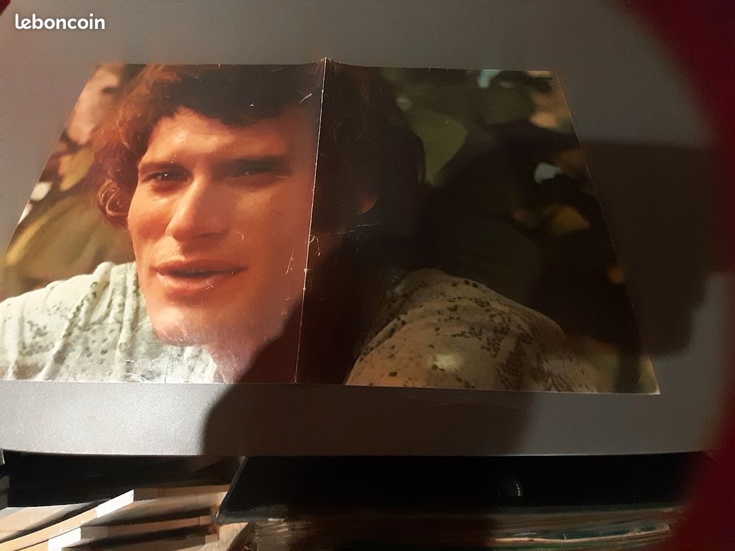 Johnny Hallyday (image 6)