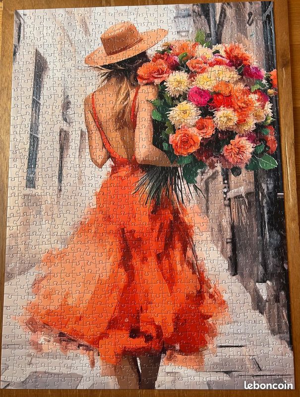 Puzzle 1000 pièces (image 1)