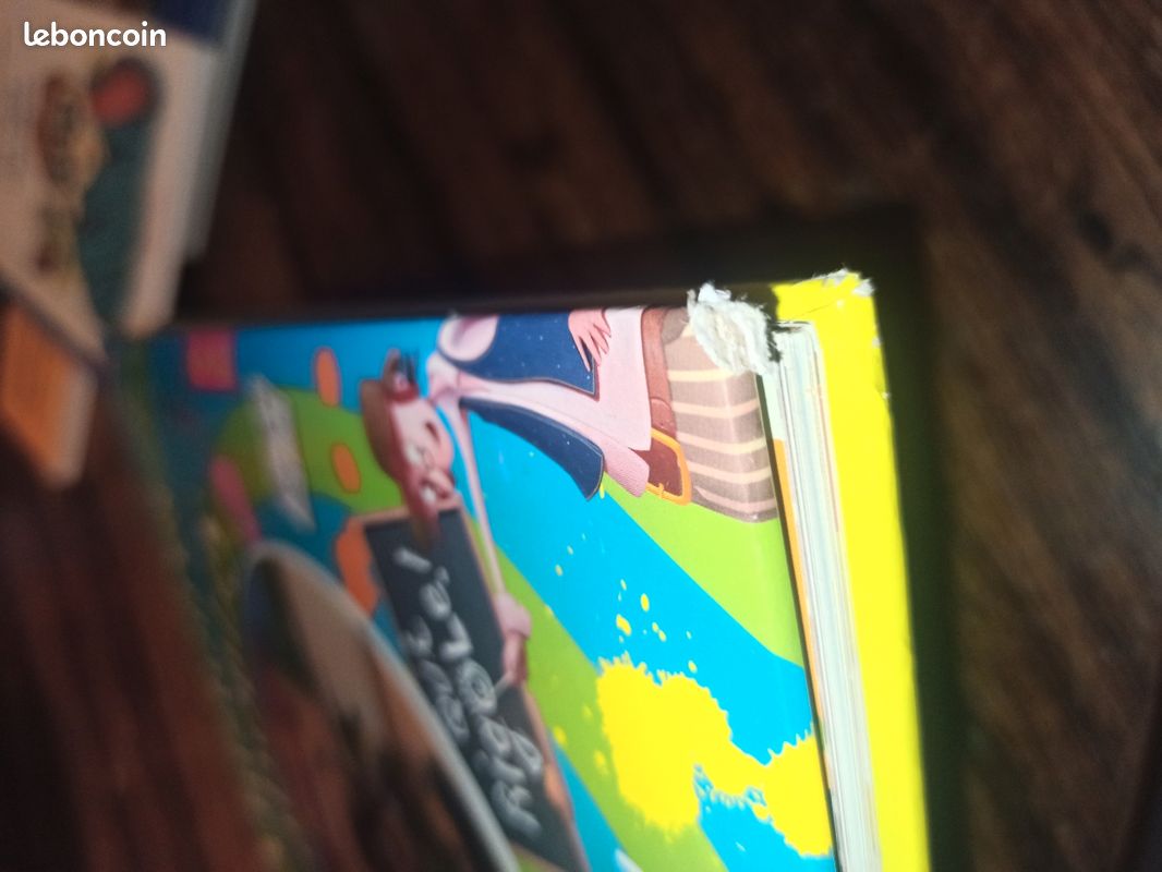Livre : 13 histoires maboules (image 4)