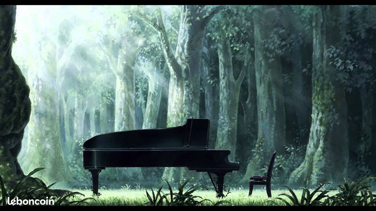 Leçons de piano (image 1)