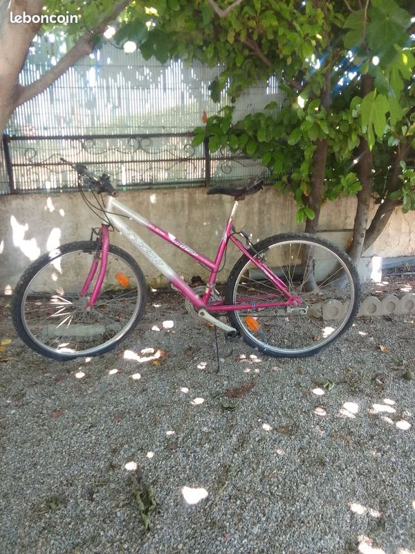 Vélo de loisirs (image 2)