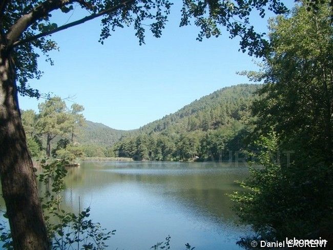 Location chambre & cuisine. Piscine privée pour 2 voyageurs Parc National des Cévennes (image 18)