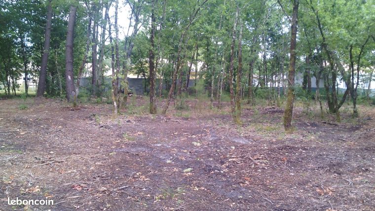 Terrain 646 m² Lugos